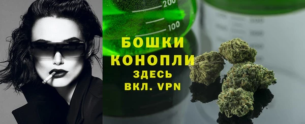 сатива Армянск