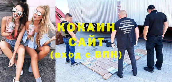 сатива Армянск