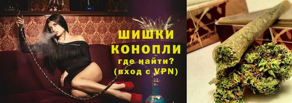 ПСИЛОЦИБИНОВЫЕ ГРИБЫ Арсеньев