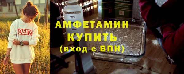ПСИЛОЦИБИНОВЫЕ ГРИБЫ Арсеньев