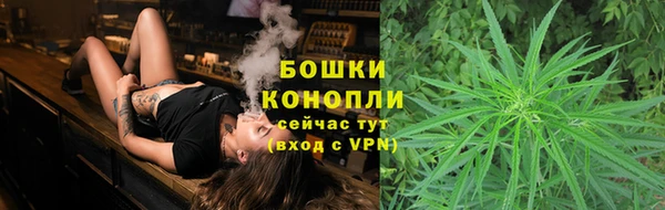 сатива Армянск