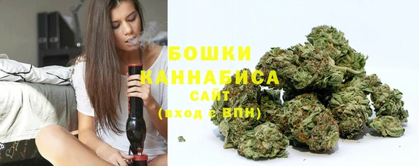 ПСИЛОЦИБИНОВЫЕ ГРИБЫ Арсеньев
