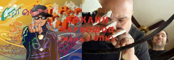 ПСИЛОЦИБИНОВЫЕ ГРИБЫ Арсеньев